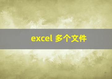 excel 多个文件